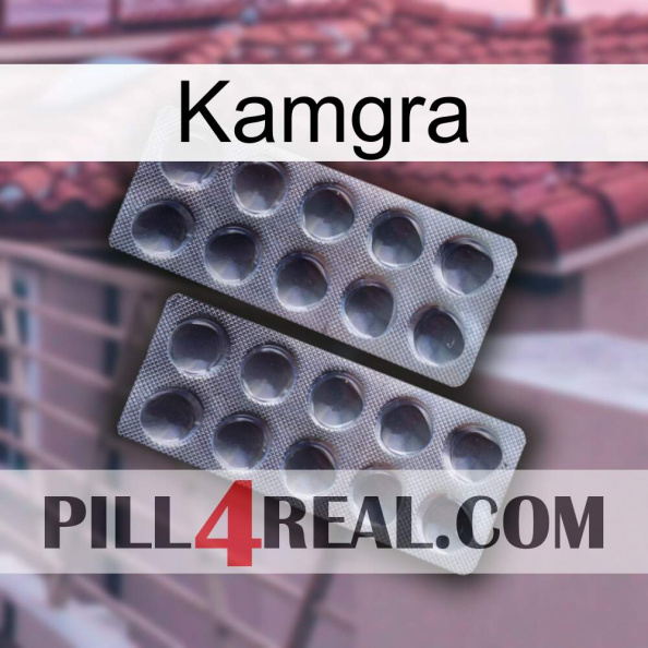 Kamgra 31.jpg